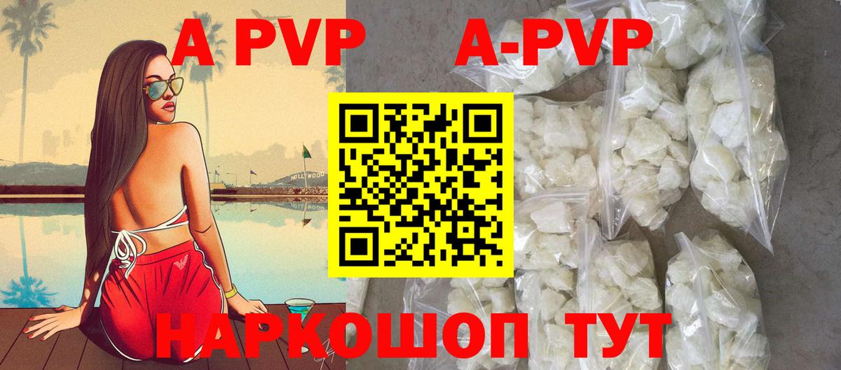 A-PVP СК Сальск