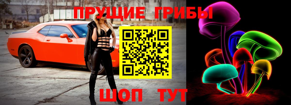 Галлюциногенные грибы Magic Shrooms  закладки  Сальск  Вход с VPN  Галлюциногенные грибы Magic Shrooms 